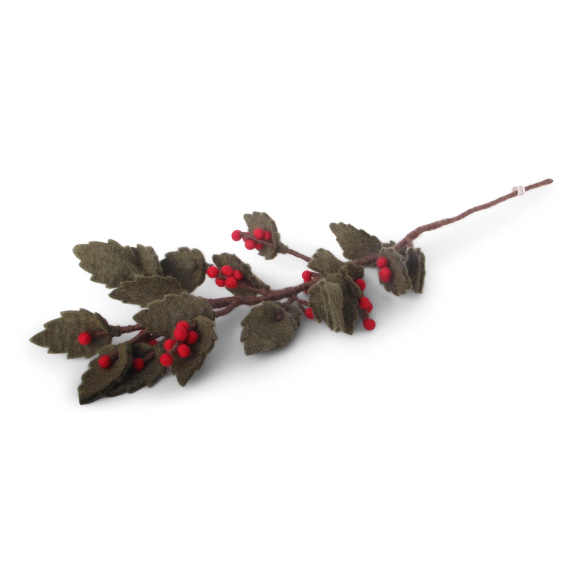 Holly Branch Big