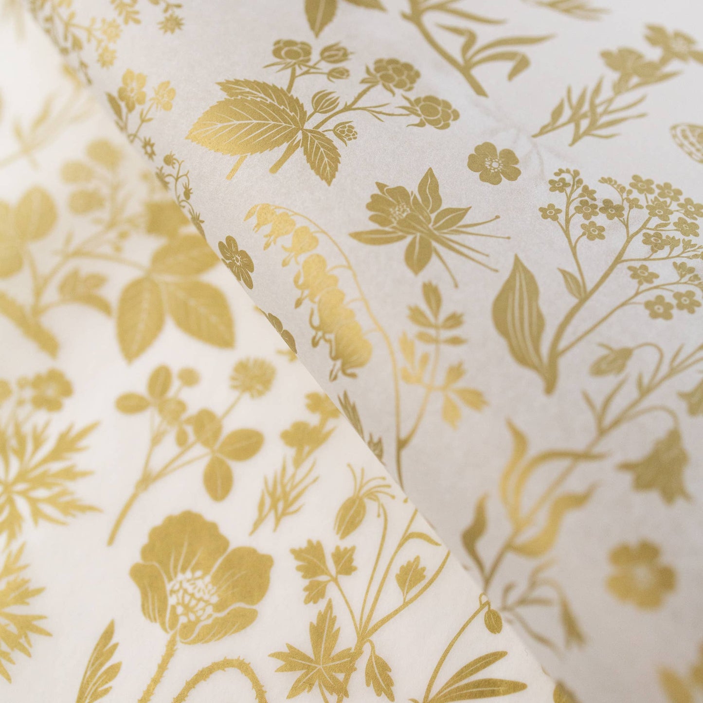 Gold Meadow | Tissue Paper (10 Sheets)