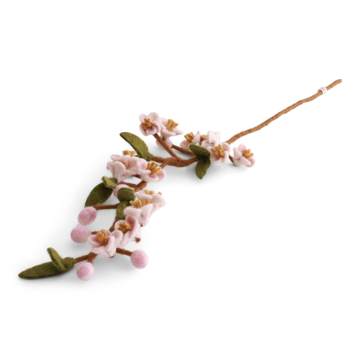 Cherry Blossom Branch