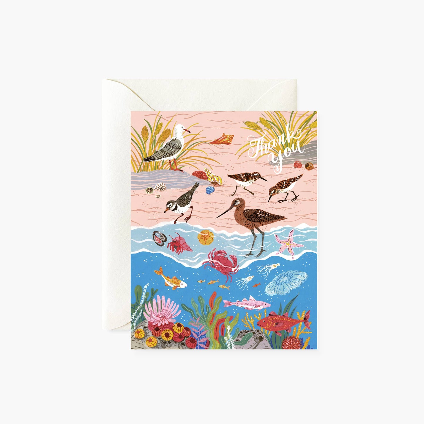 Seashore | Thank You Card