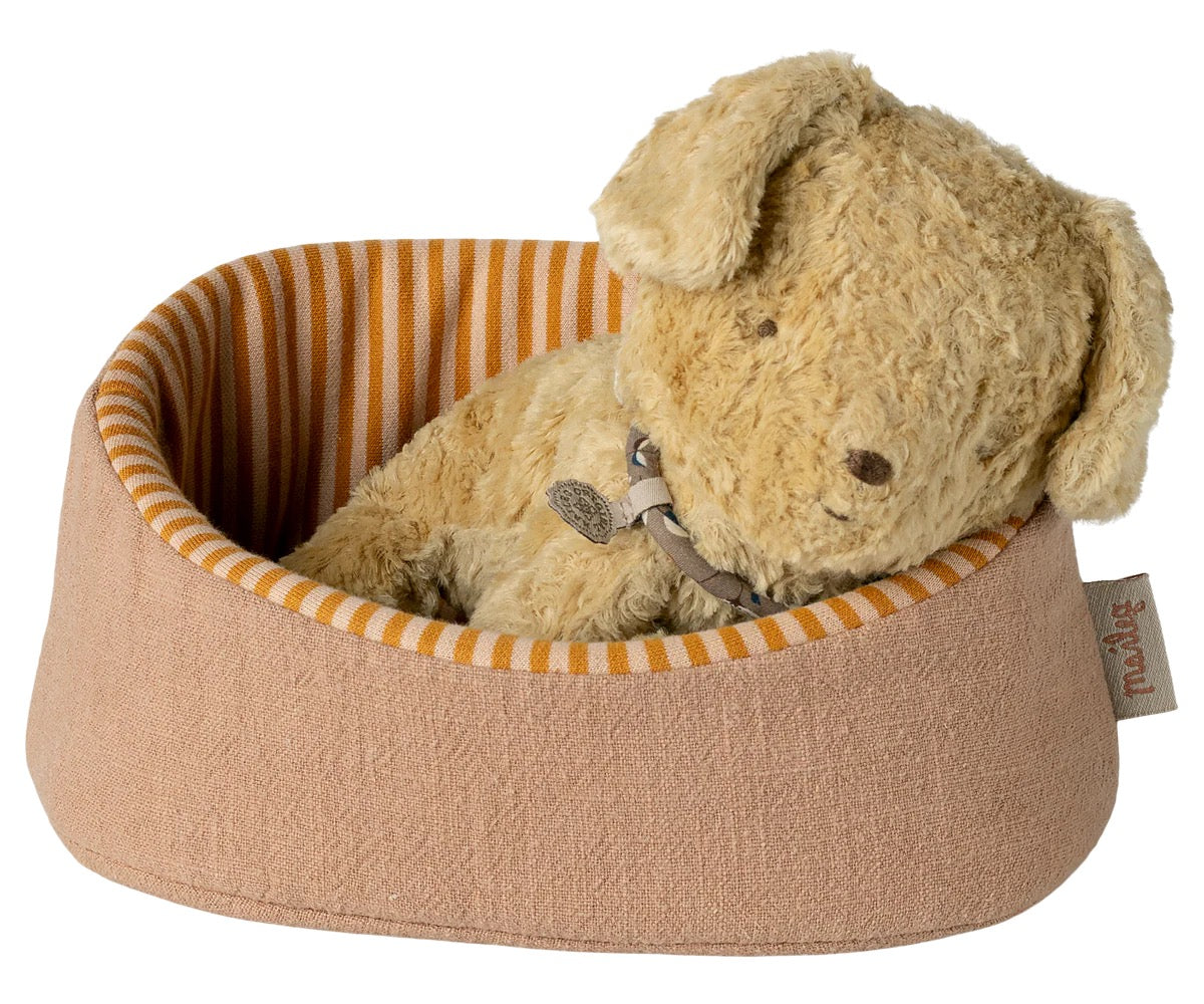 Puppy Small - Soft Sand