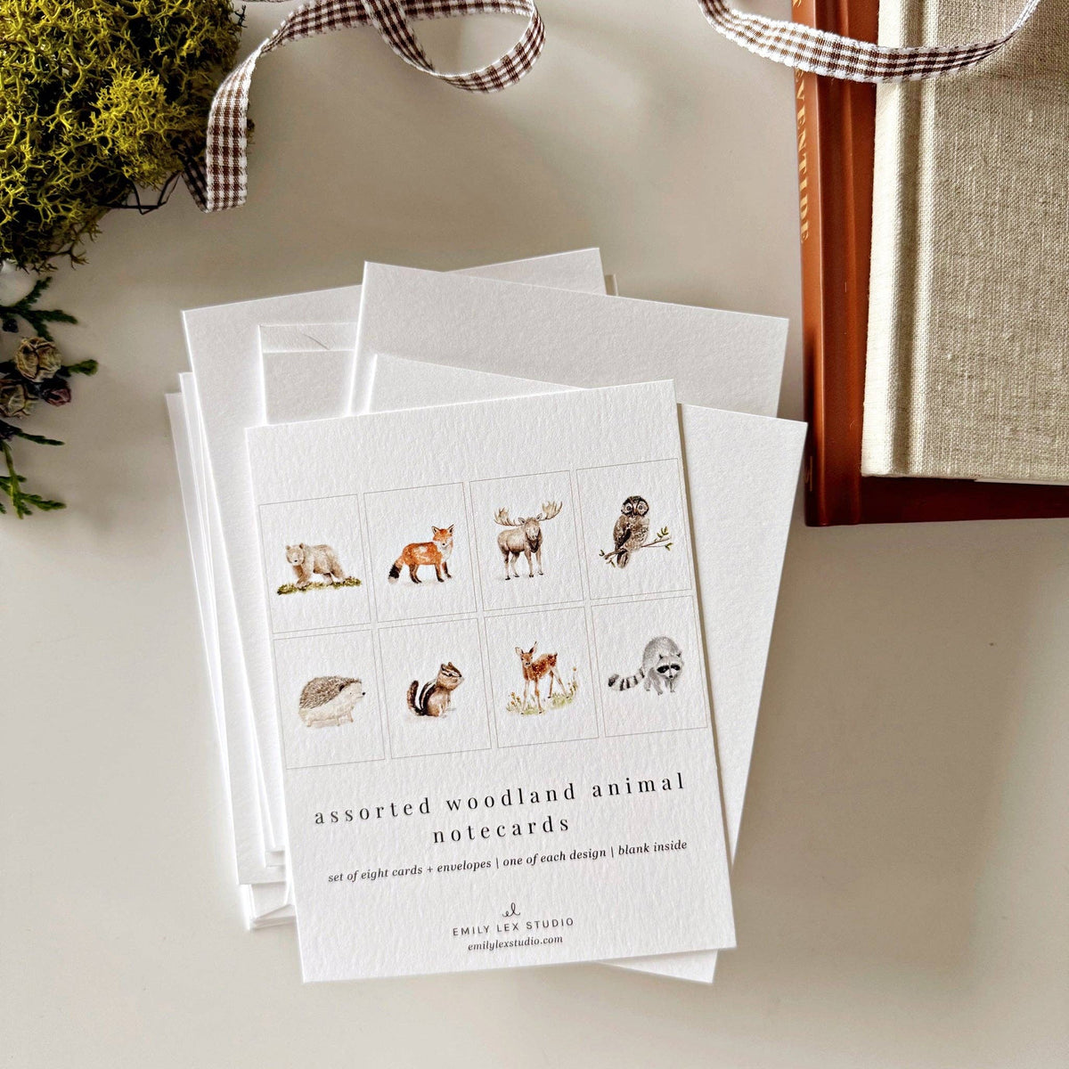 Woodland animals assorted notecard set