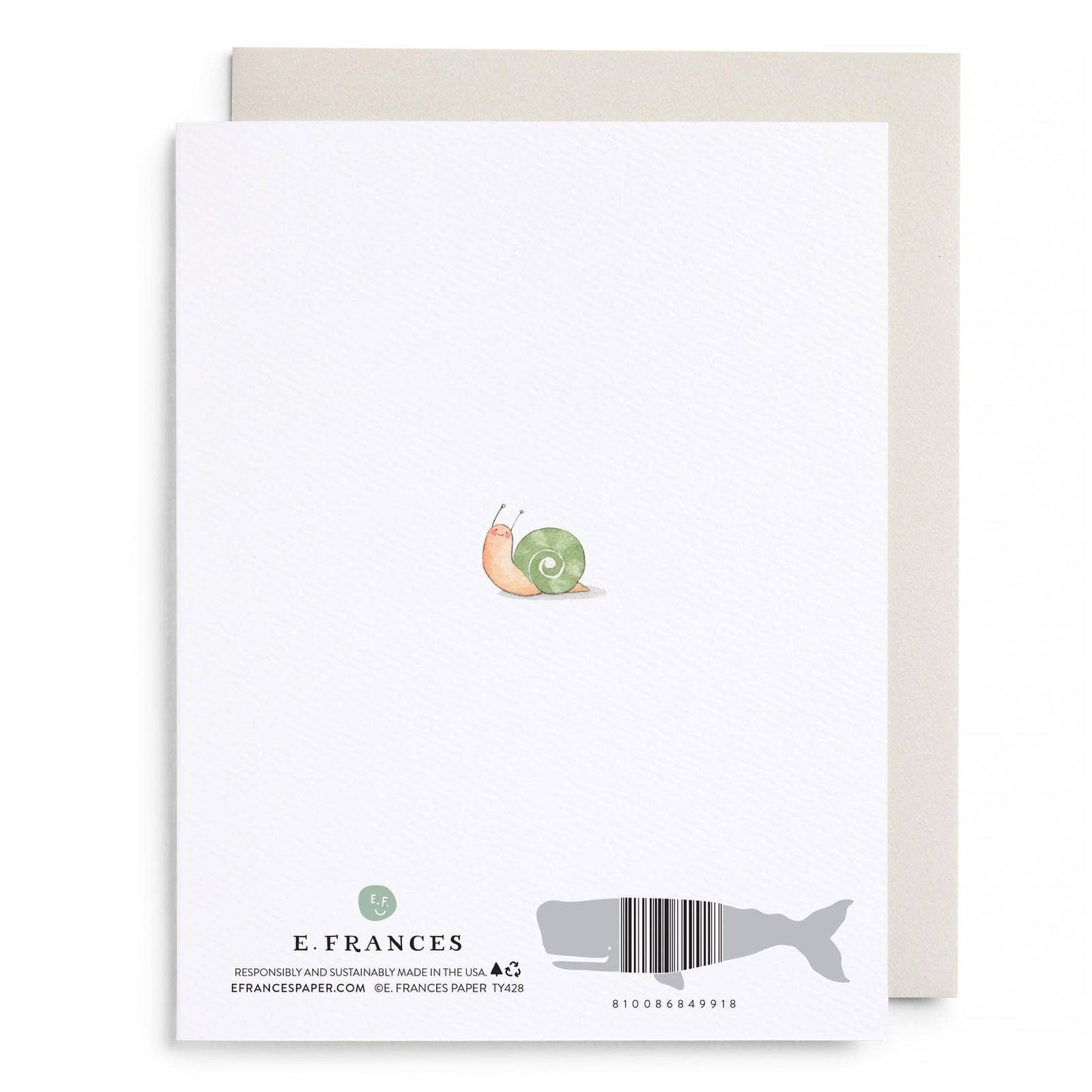 Little Card Big Thanks Boxed Card Set