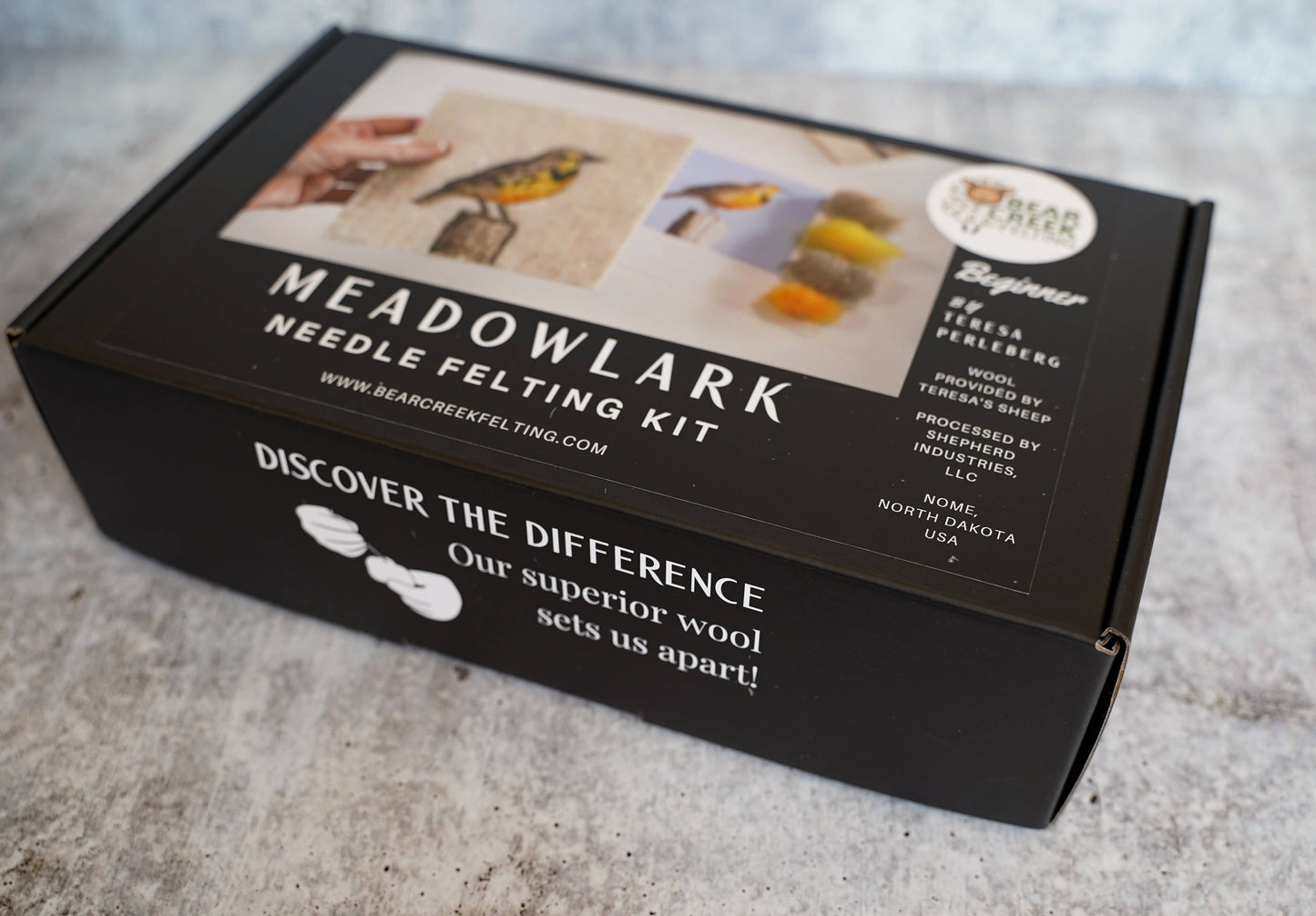 Meadowlark Painting with Wool Needle Felting Kit