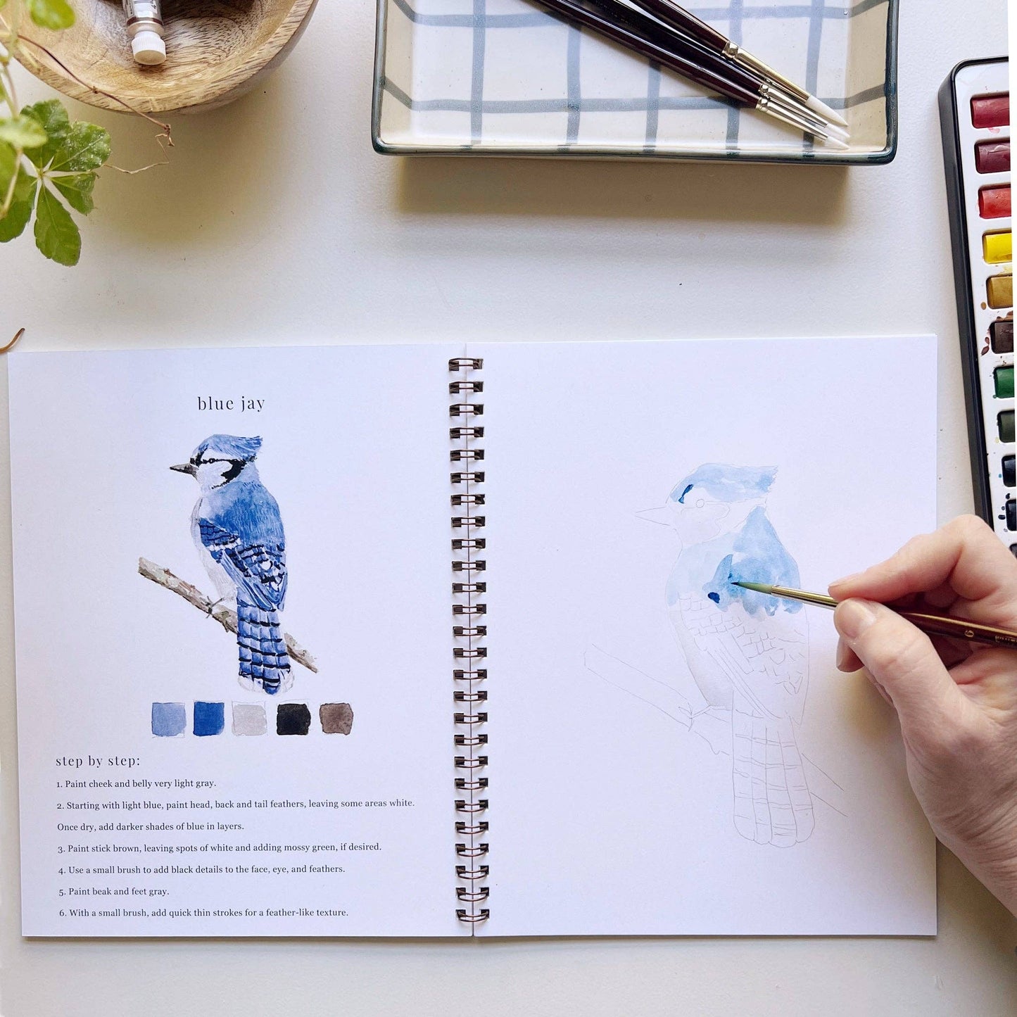 Birds watercolor workbook