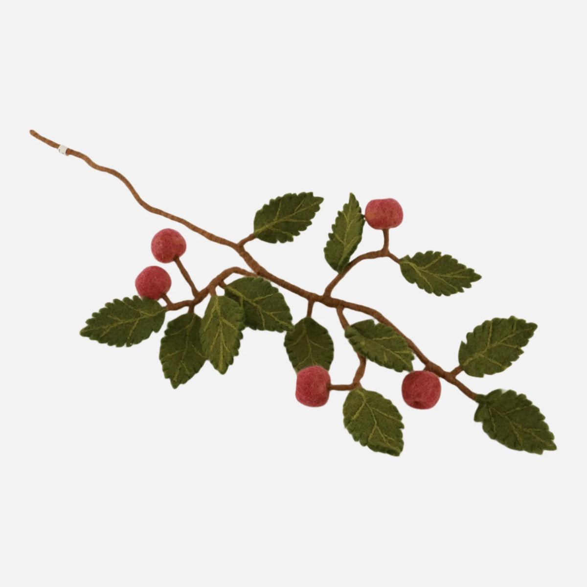 Dark Red Apple Branch