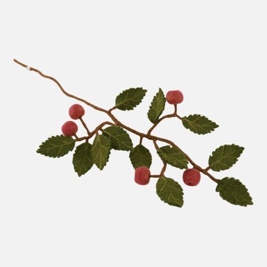 Dark Red Apple Branch