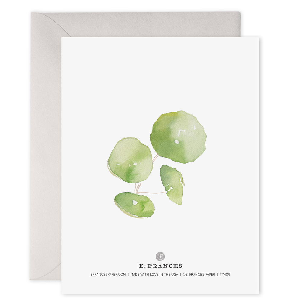 Pancake Plant Pilea Plant Thank You Card (Boxed Set of 6)