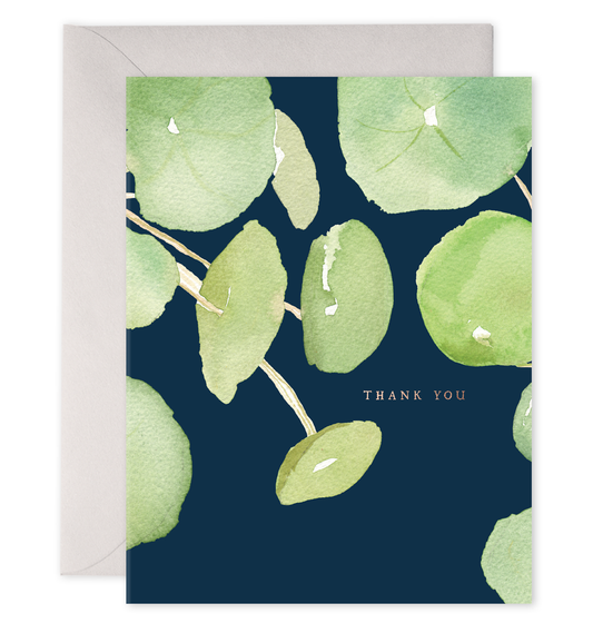 Pancake Plant Pilea Plant | Thank You Greeting Card