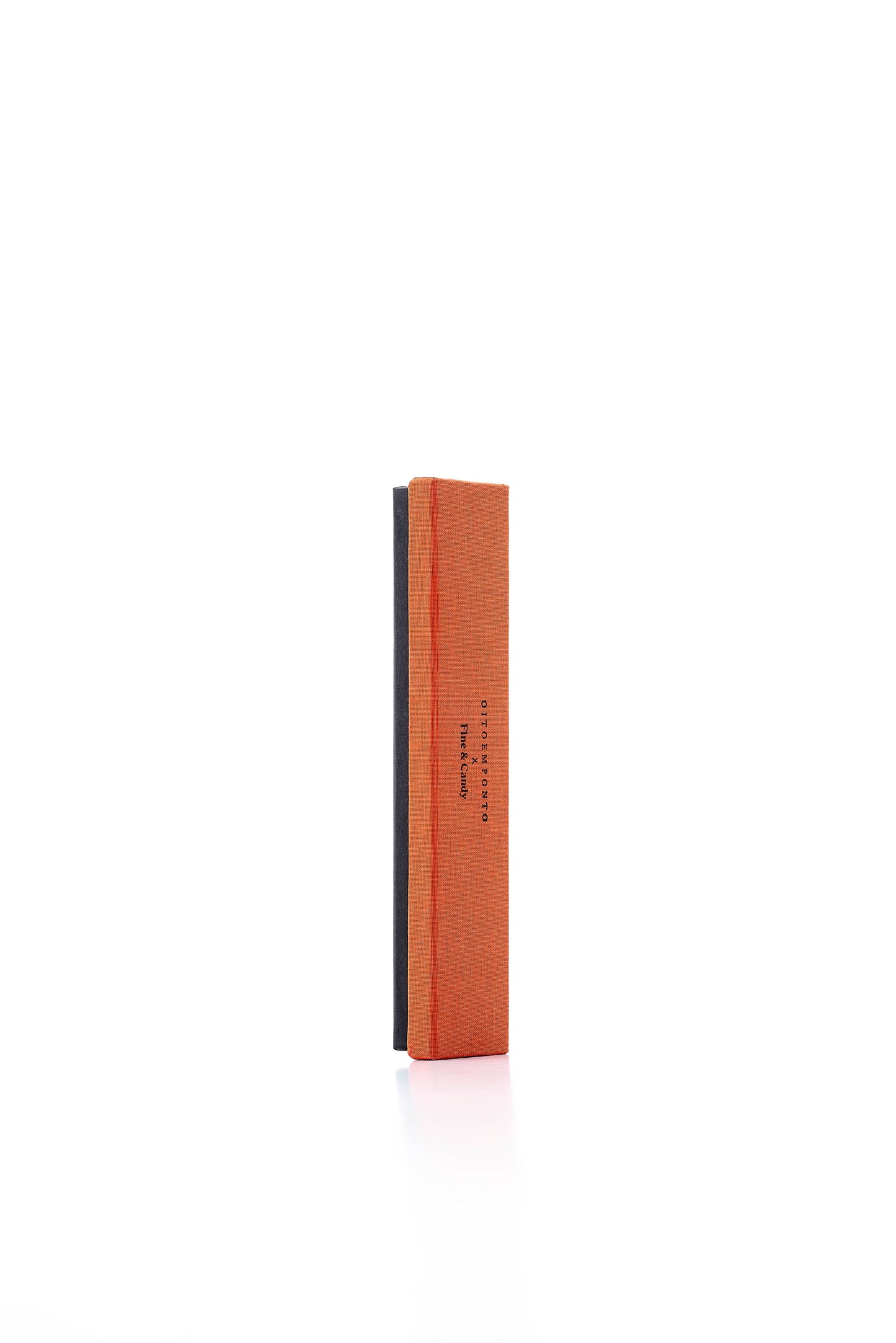 Garam Masala Pencil Box