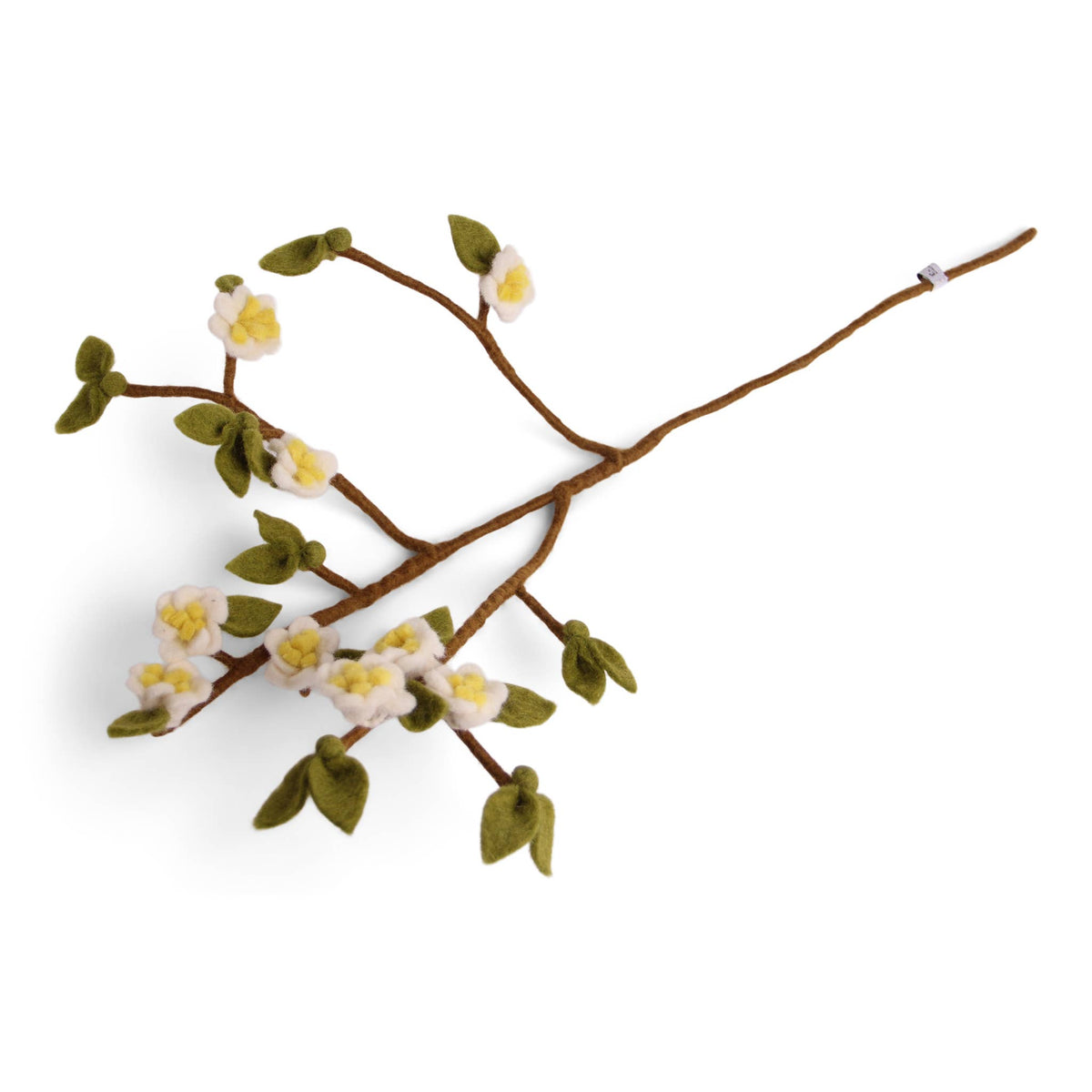 Apple Blossom Branch