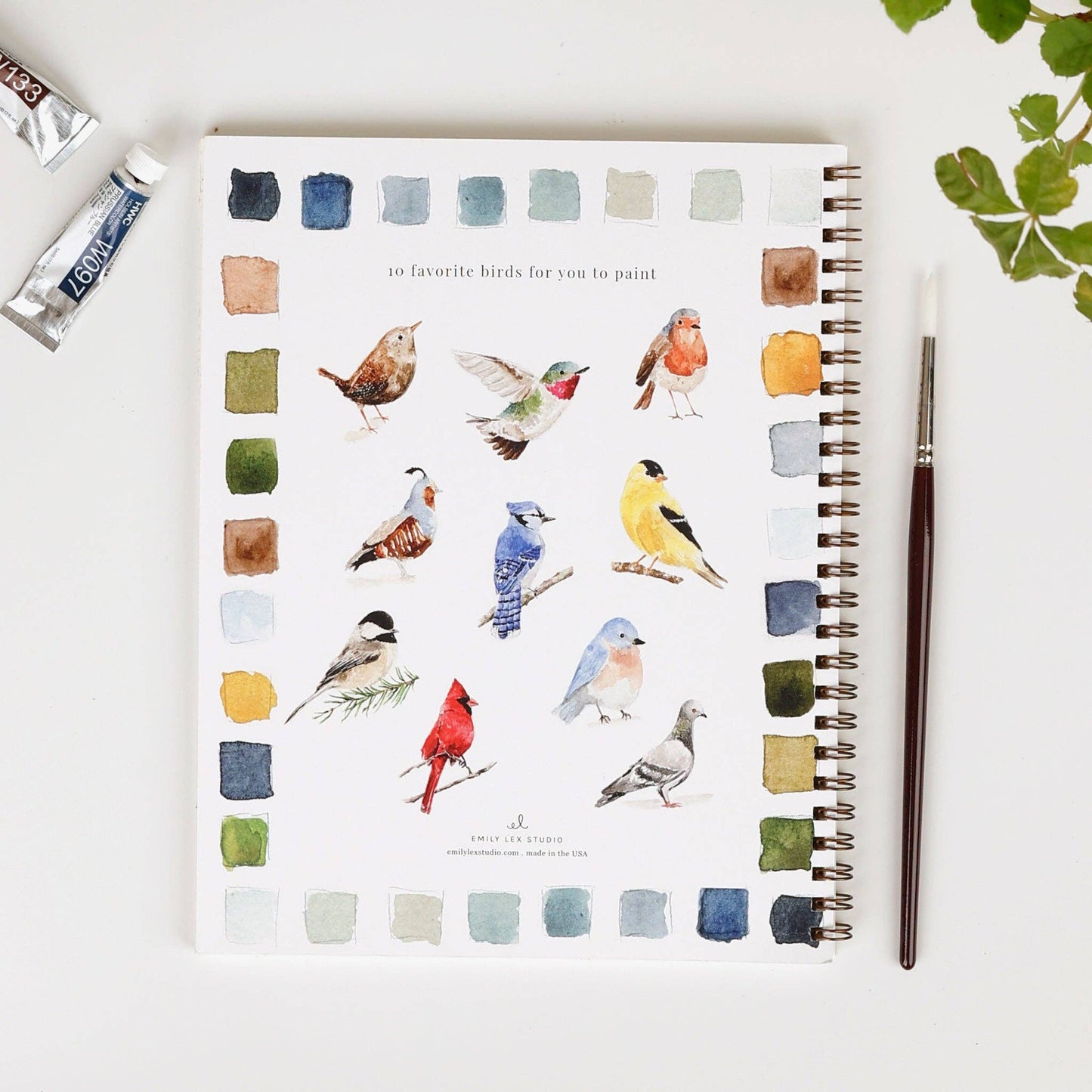 Birds watercolor workbook