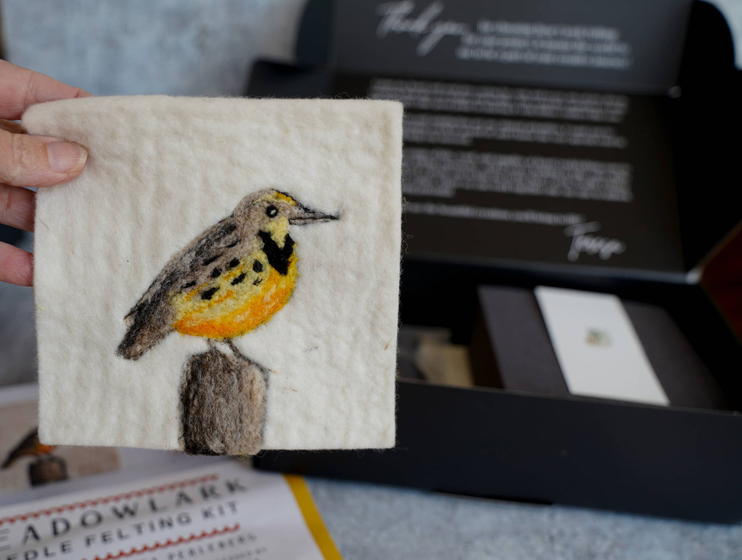 Meadowlark Painting with Wool Needle Felting Kit