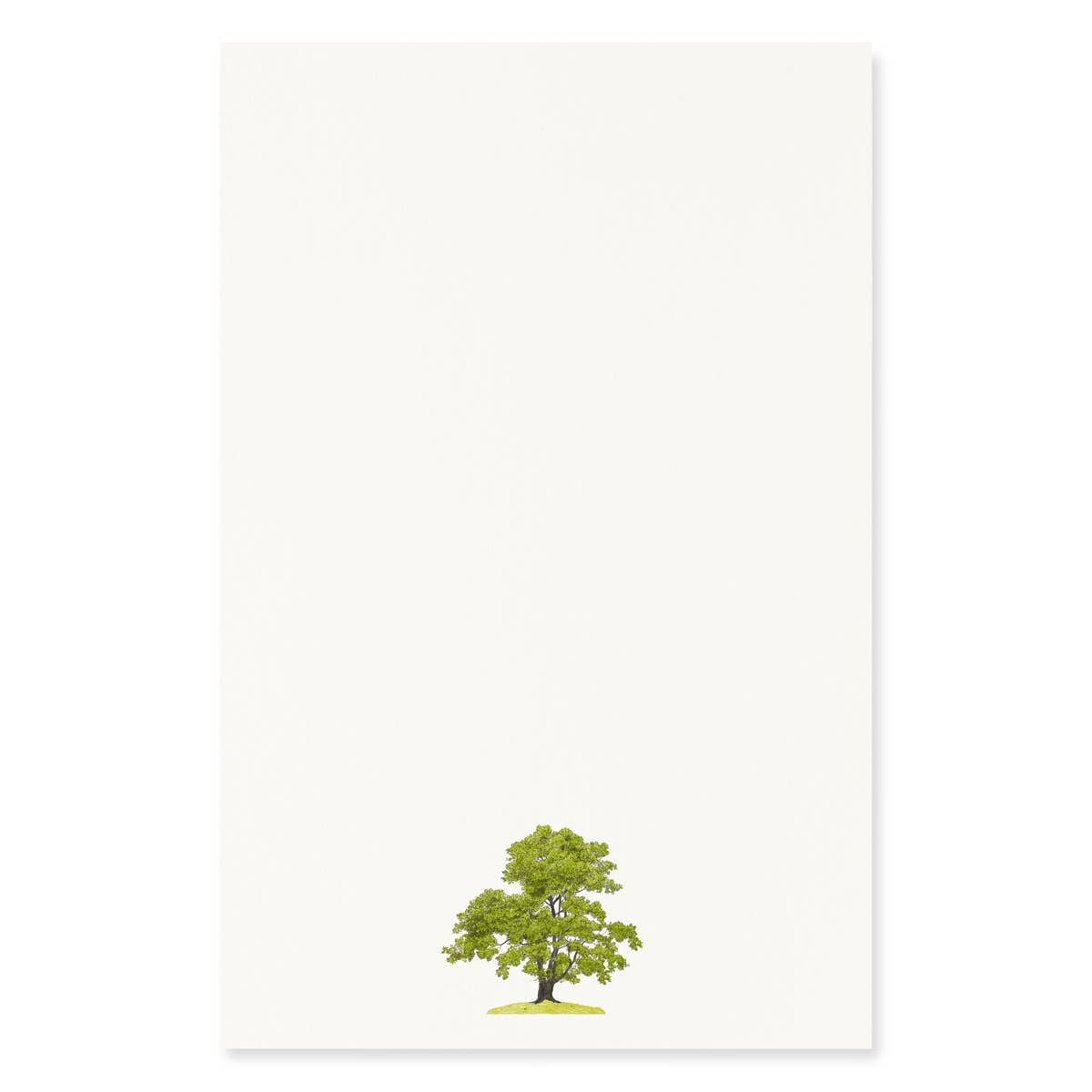 Emerald Oak - Letter Writing Paper - Oak Tree