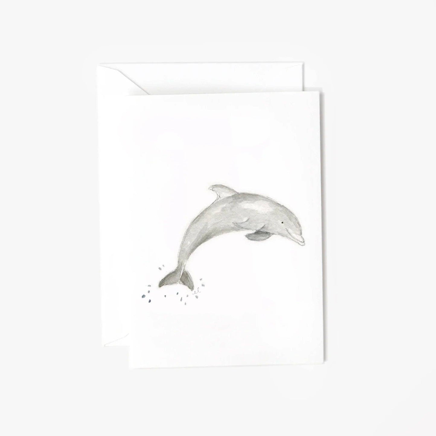 Dolphin mini enclosure notecard