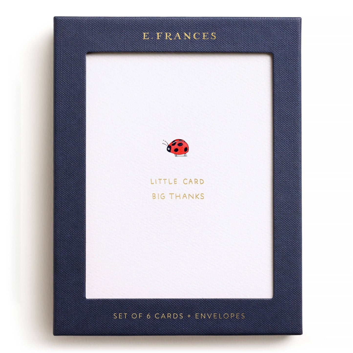 Little Card Big Thanks Boxed Card Set
