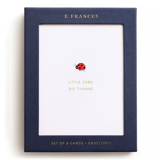 Little Card Big Thanks Boxed Card Set
