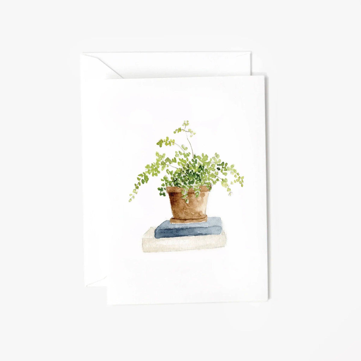 Maidenhair fern mini enclosure notecard