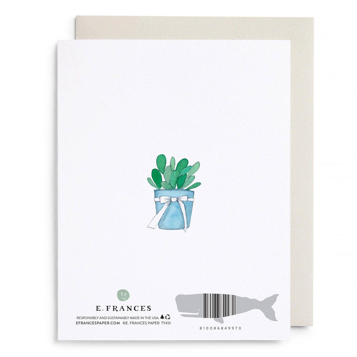 Alligator Thank You Boxed Card Set