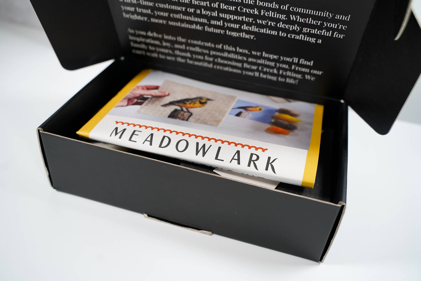 Meadowlark Painting with Wool Needle Felting Kit