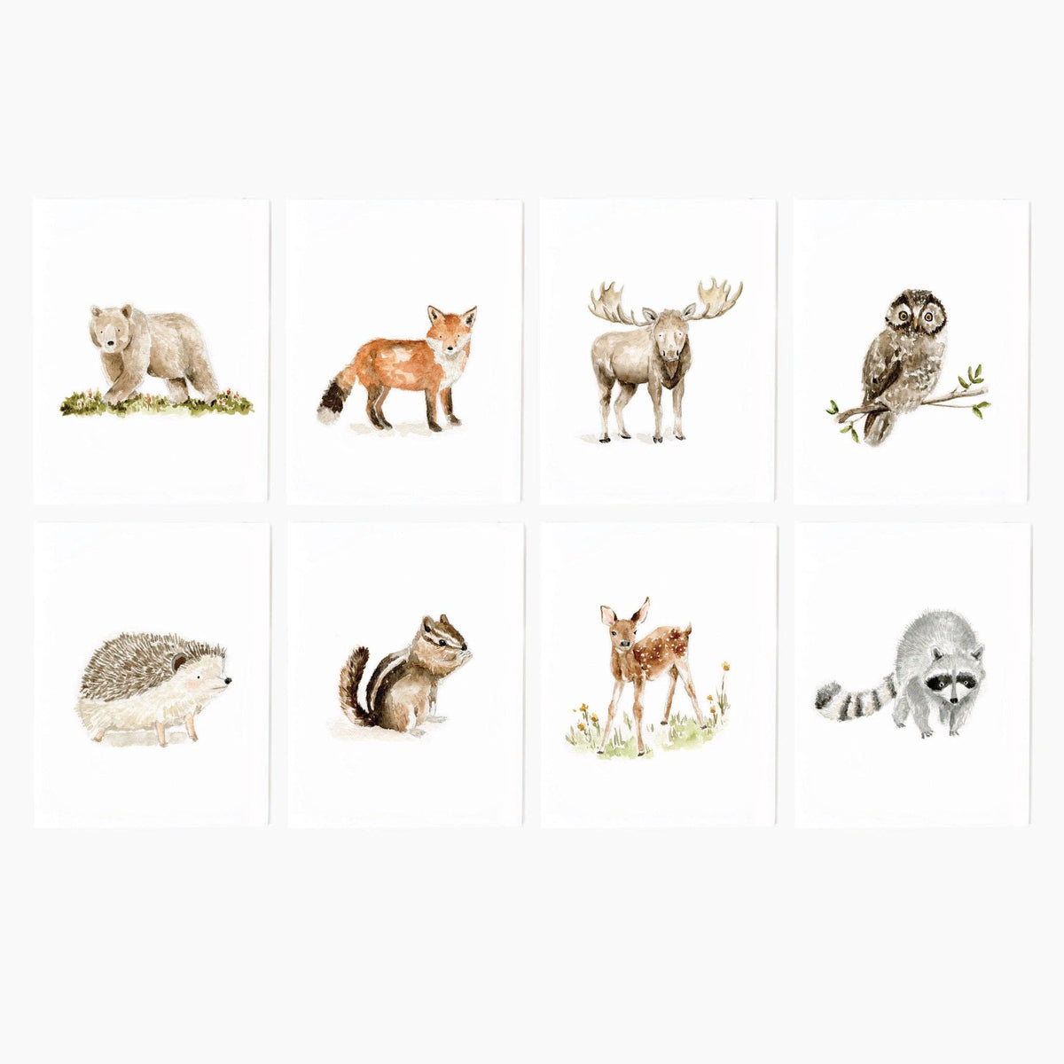 Woodland animals assorted notecard set