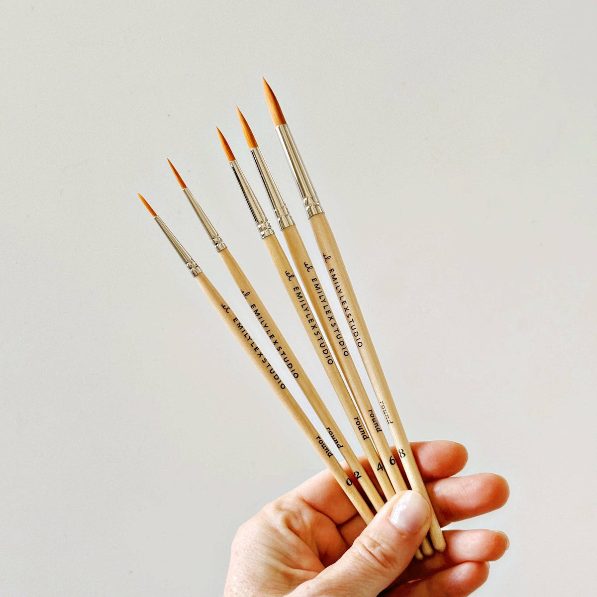 Emily Lex Watercolor paintbrush set of five wood brushes