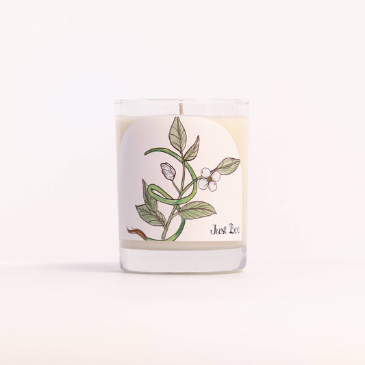 Black Tea Vetiver - Large Glass Candle