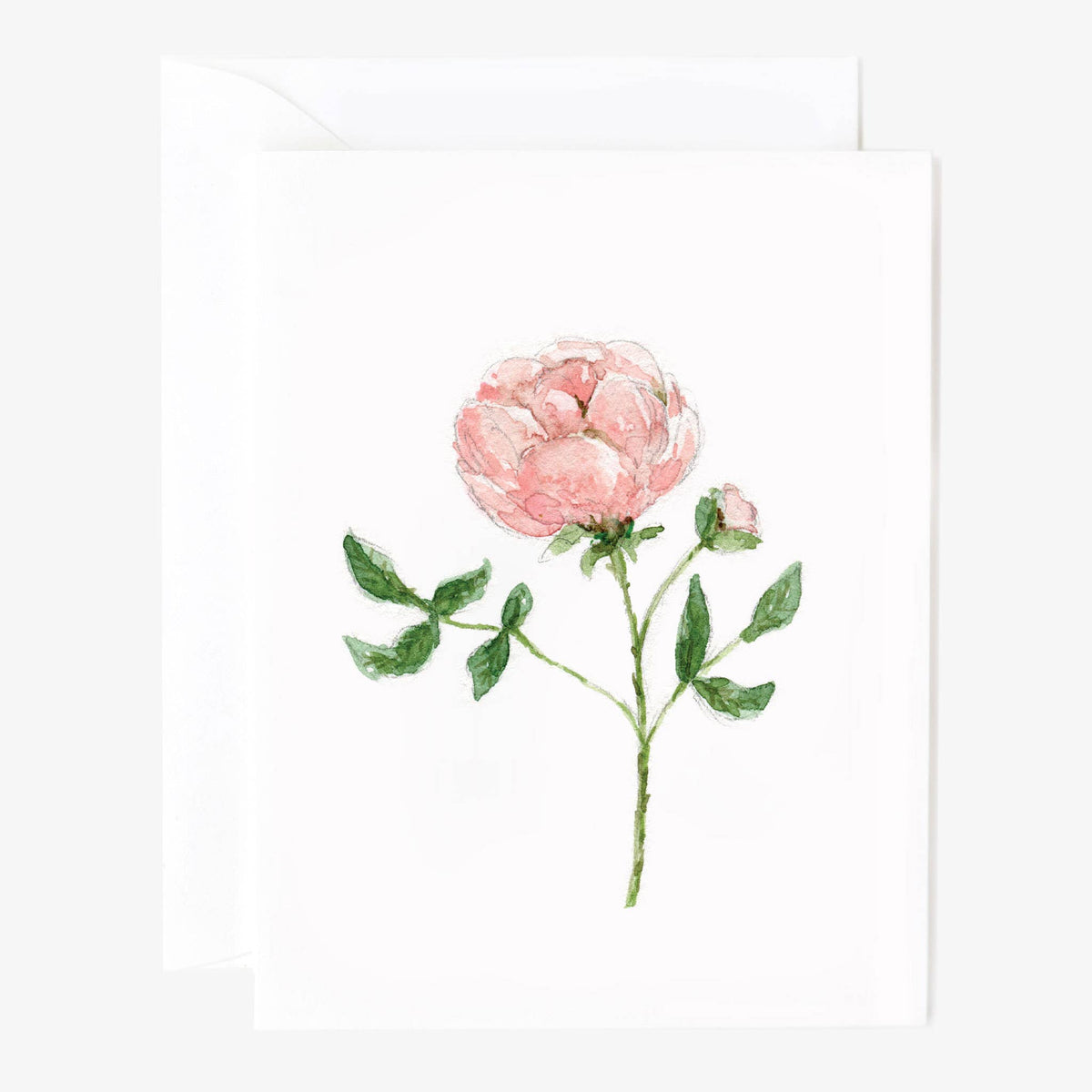 Garden rose notecards: Set of 8