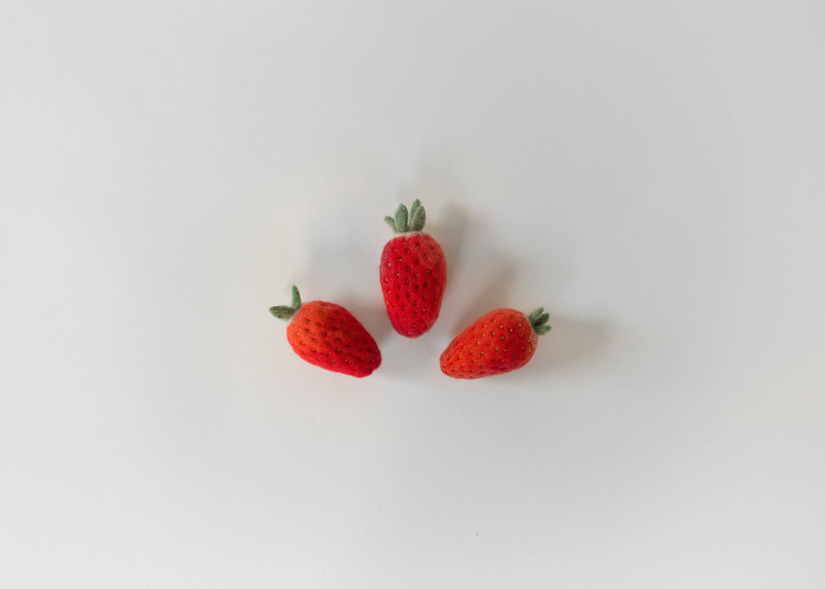 Needle Felting Kit - Strawberry