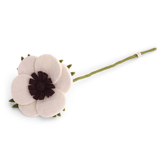 French Anemone - White