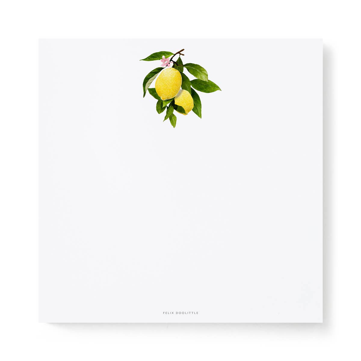 Lemon Branch - Notepads - 6x6