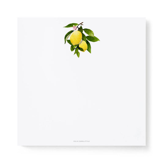Lemon Branch - Notepads - 6x6