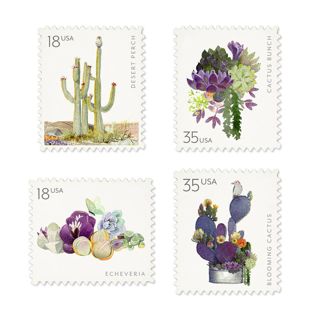 Sonoran - Decorative Labels - Desert plant stickers