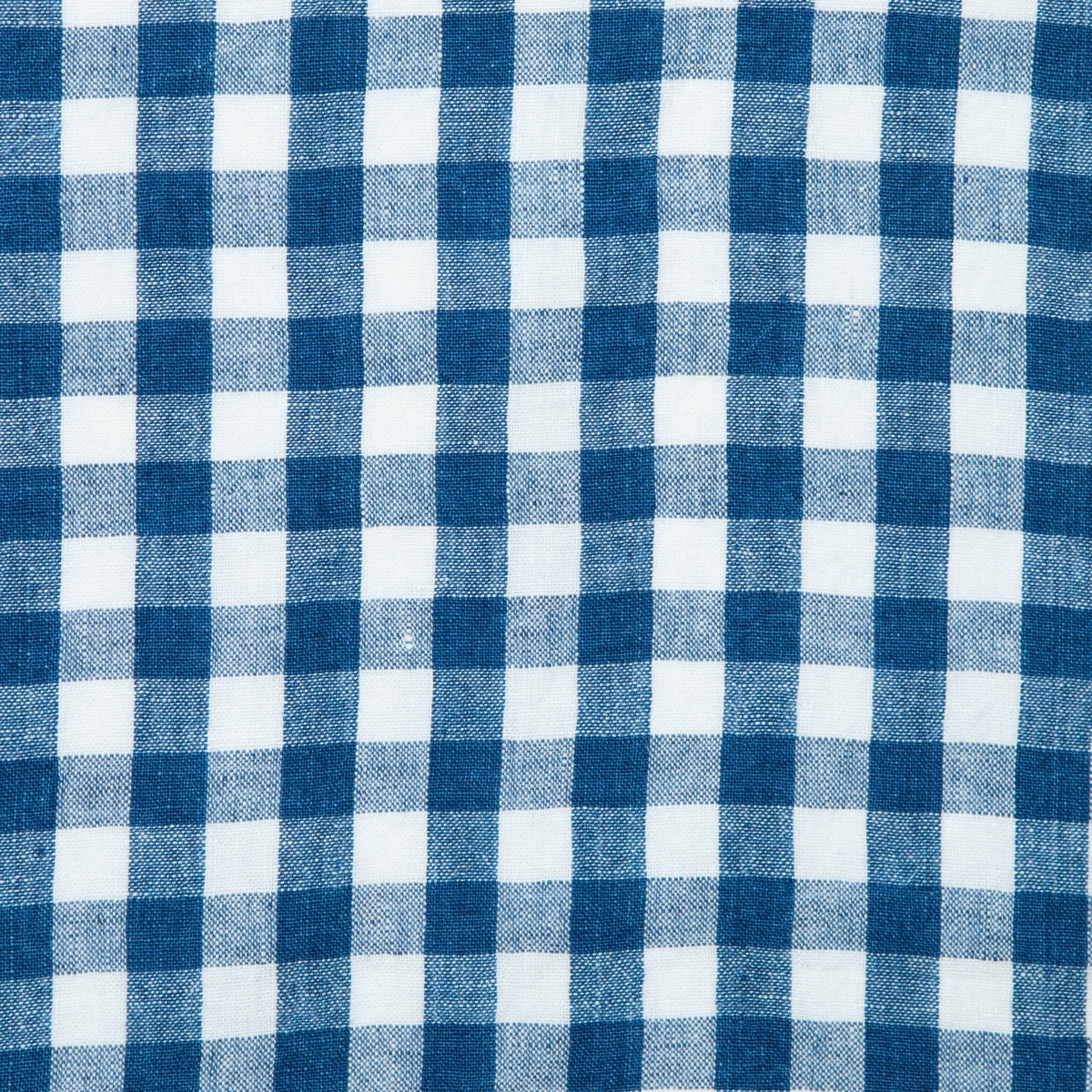 Blueberry Picnic Napkin 20x20 - Set of 4