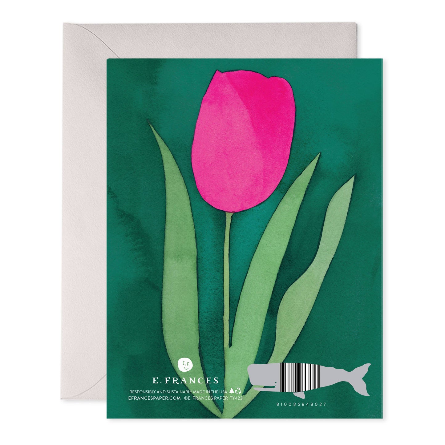 Pink Tulip Thank You Cards – Boxed Set of 6 Notes