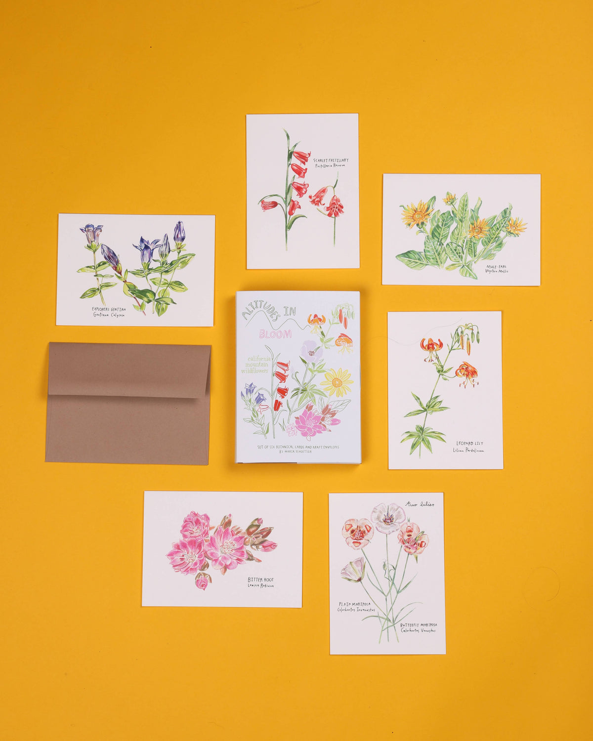 Altitudes in Bloom Card Set of 6