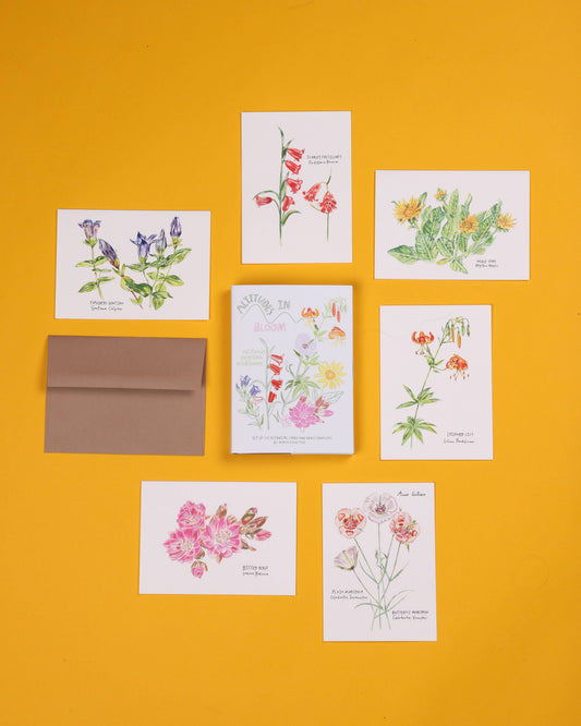 Altitudes in Bloom Card Set of 6