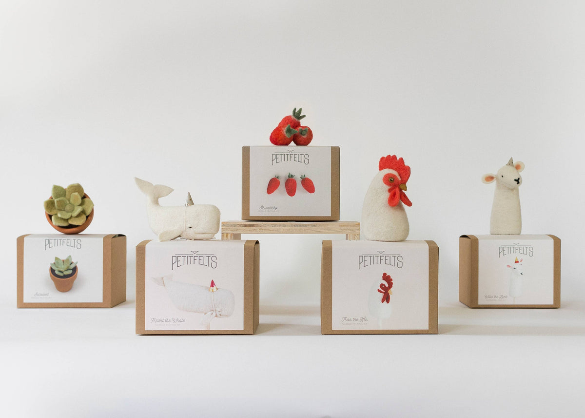 Needle Felting Kit - Strawberry