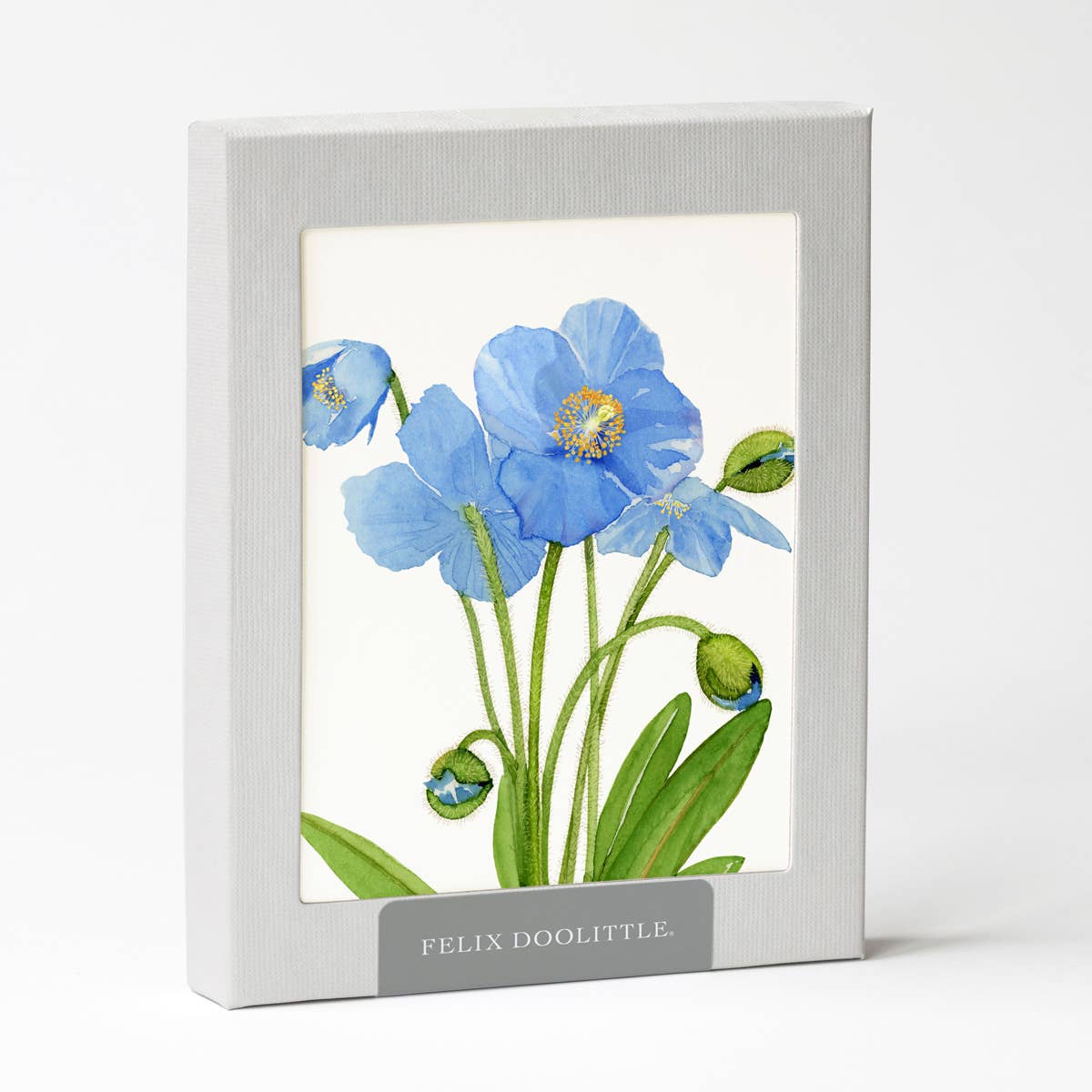 Blue Poppies - Flower Boxed Greeting Cards