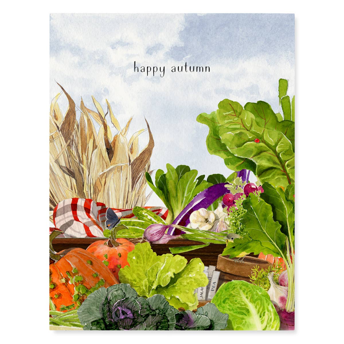 Autumn Harvest - Fall Boxed Greeting Cards