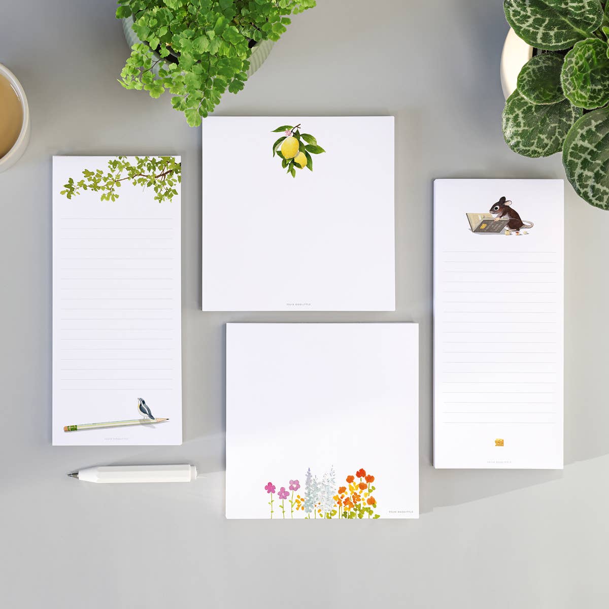 Lil Hedgie - Hedgehog Notepad - 6x6