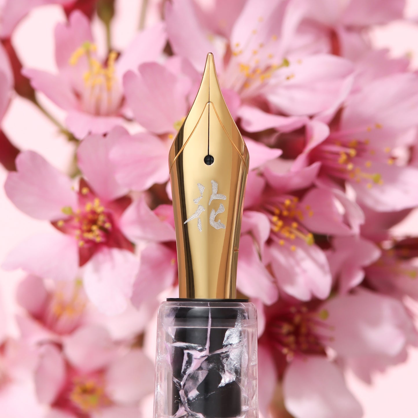 Esterbrook X Bungubox Estie Kachofugetsu Flower - Cherry Blossom Fountain Pen