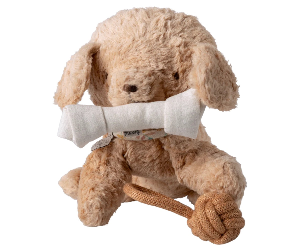 Pet Supply Toys