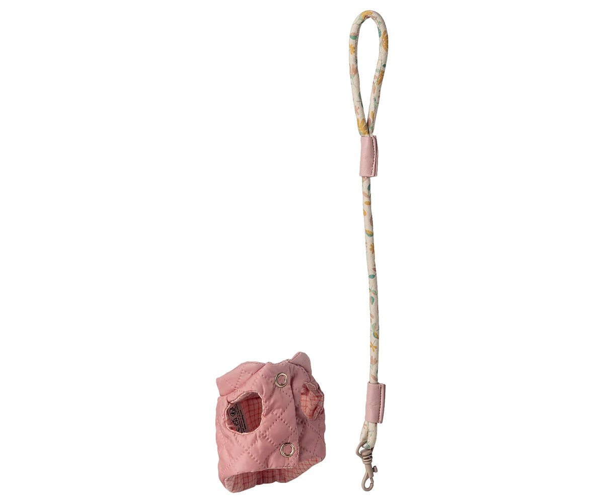 Pet Supply, Harness and Leash - Rose