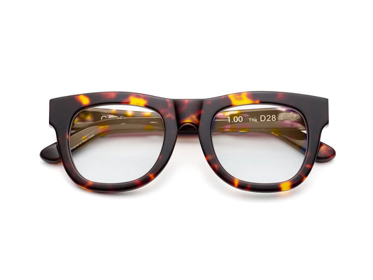 D28 Reading Glasses - Turtle