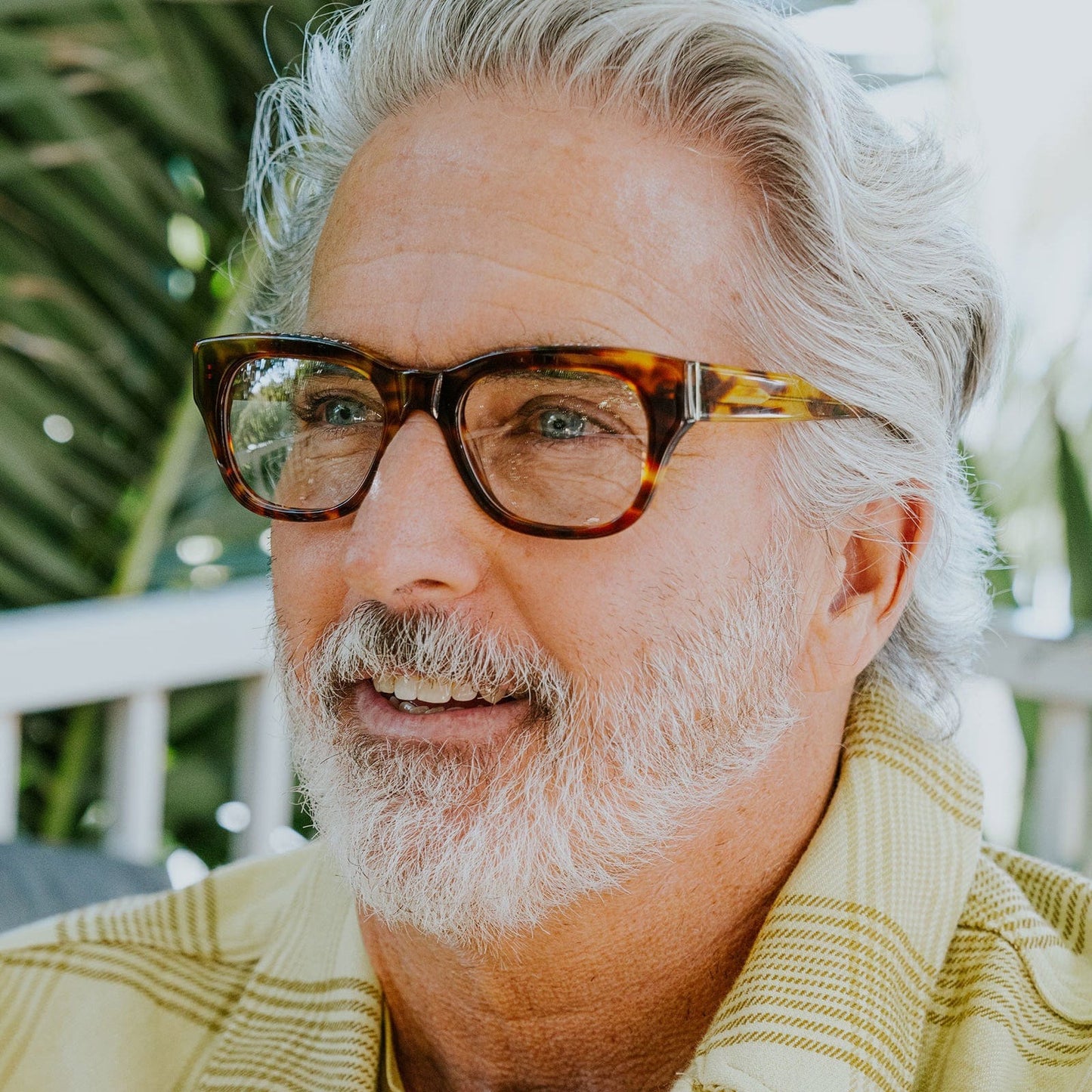 Miklos Reading Glasses - Terrapin