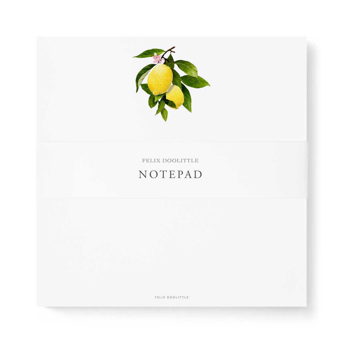 Lemon Branch - Notepads - 6x6