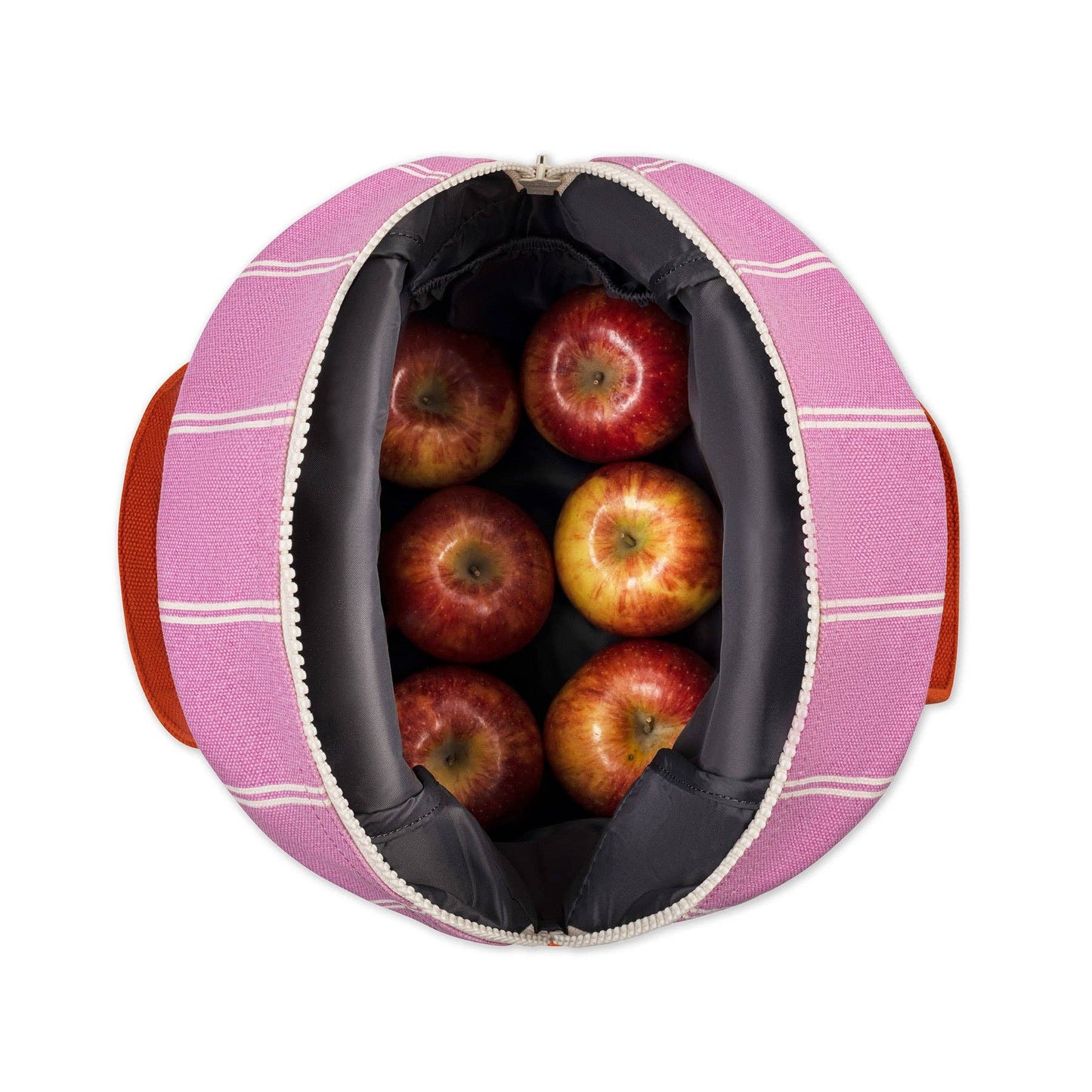 Shirt Stripe - Zipper Lunch