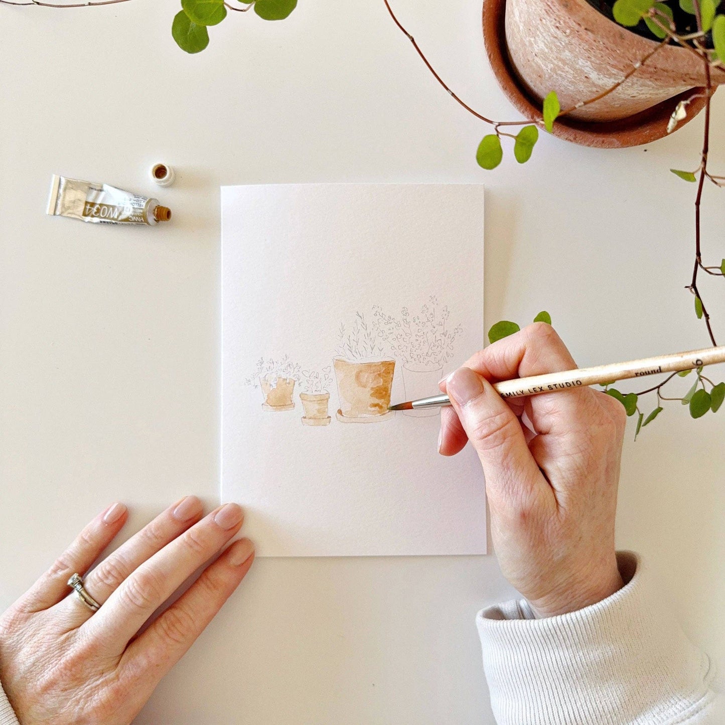 Potted Plants Paintable Notecards