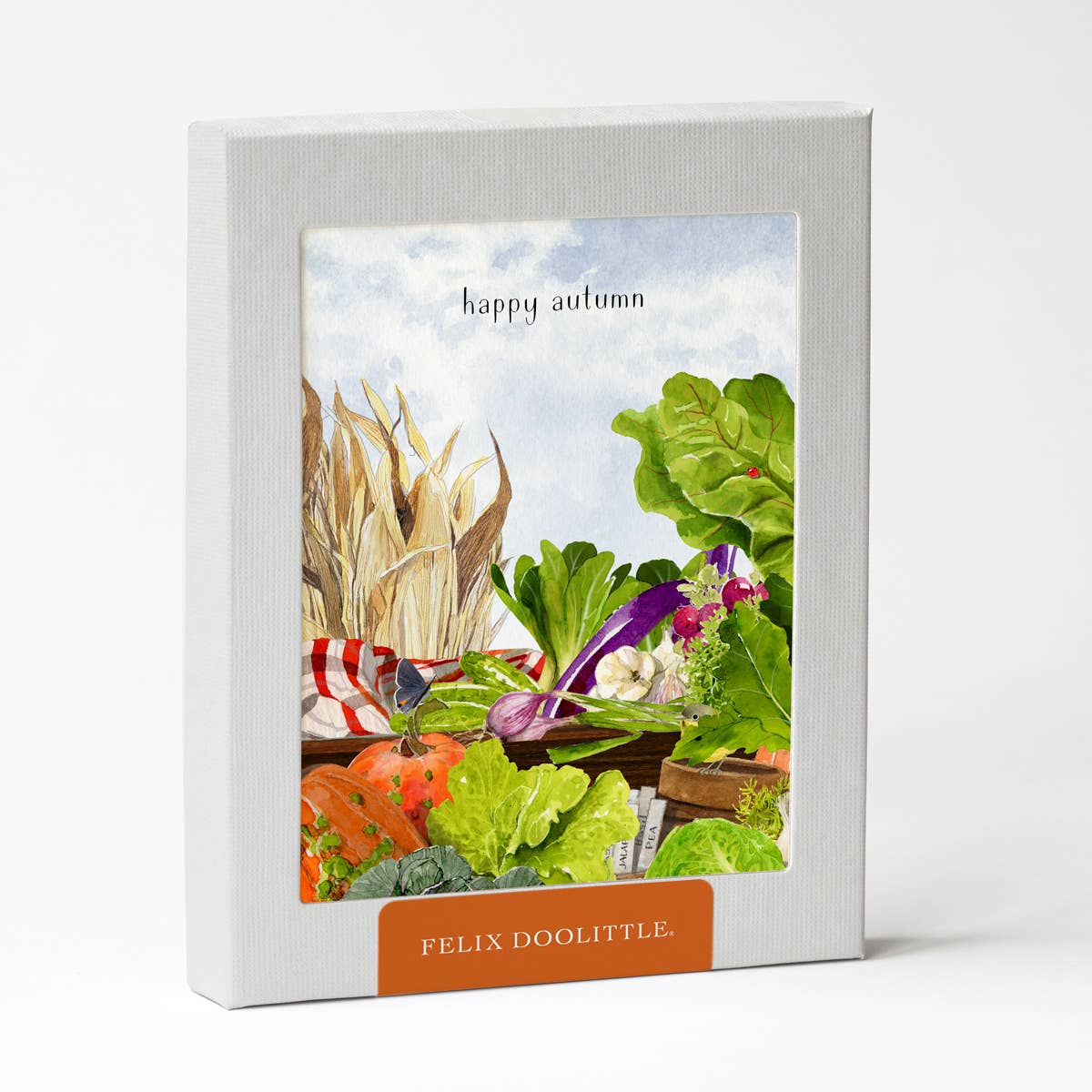 Autumn Harvest - Fall Boxed Greeting Cards